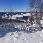 Braun 3*