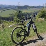 Braun 3*