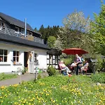 Hotel Braun 3*