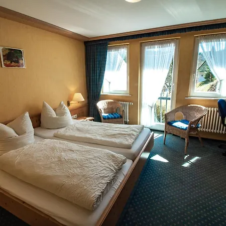 Hotel Braun 3*