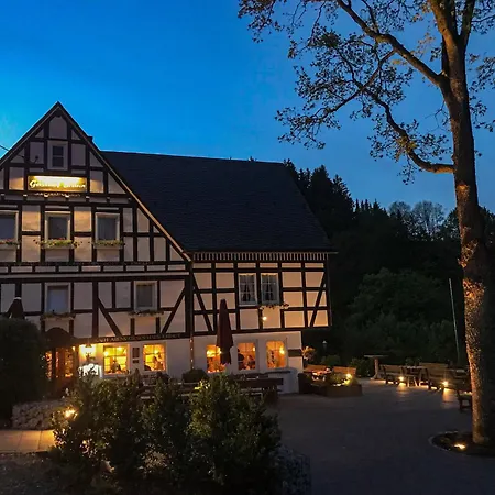 Hotel Braun 3*