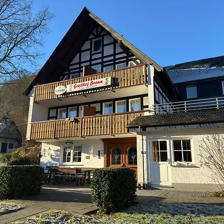 Braun Hotel 3*