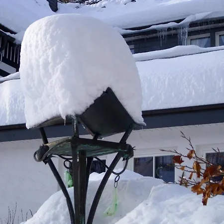 Braun 3* Schmallenberg